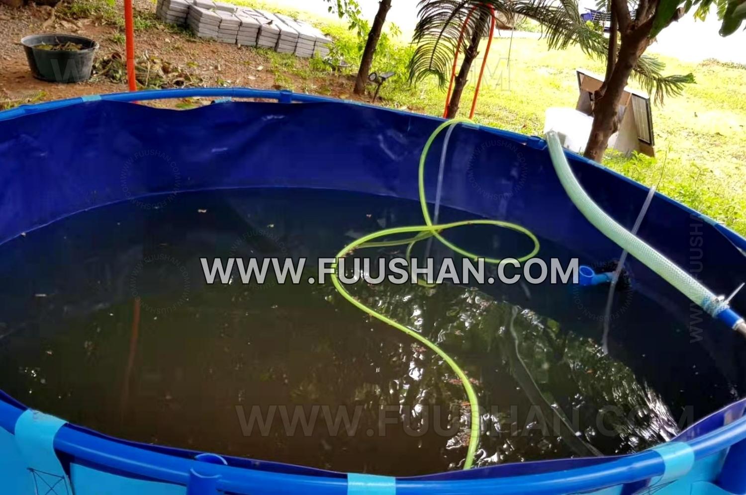 2000l outdoor home use aquaponics in philipines (6)