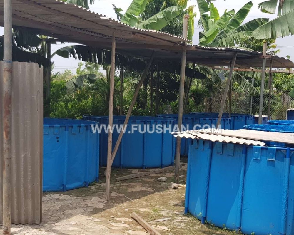 aquaculture tank (10)