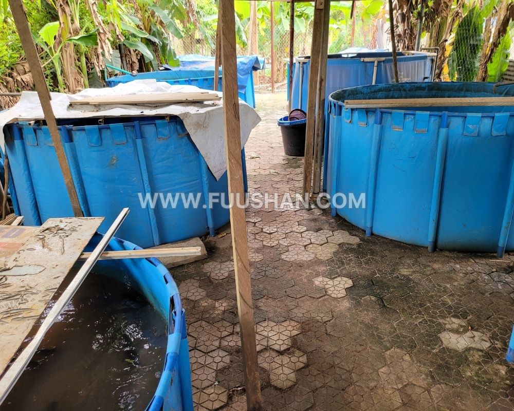 aquaculture tank (9)