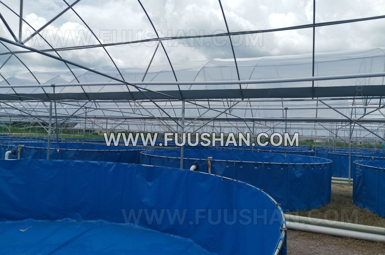 the 4832m2 aquaculture project in china (4)