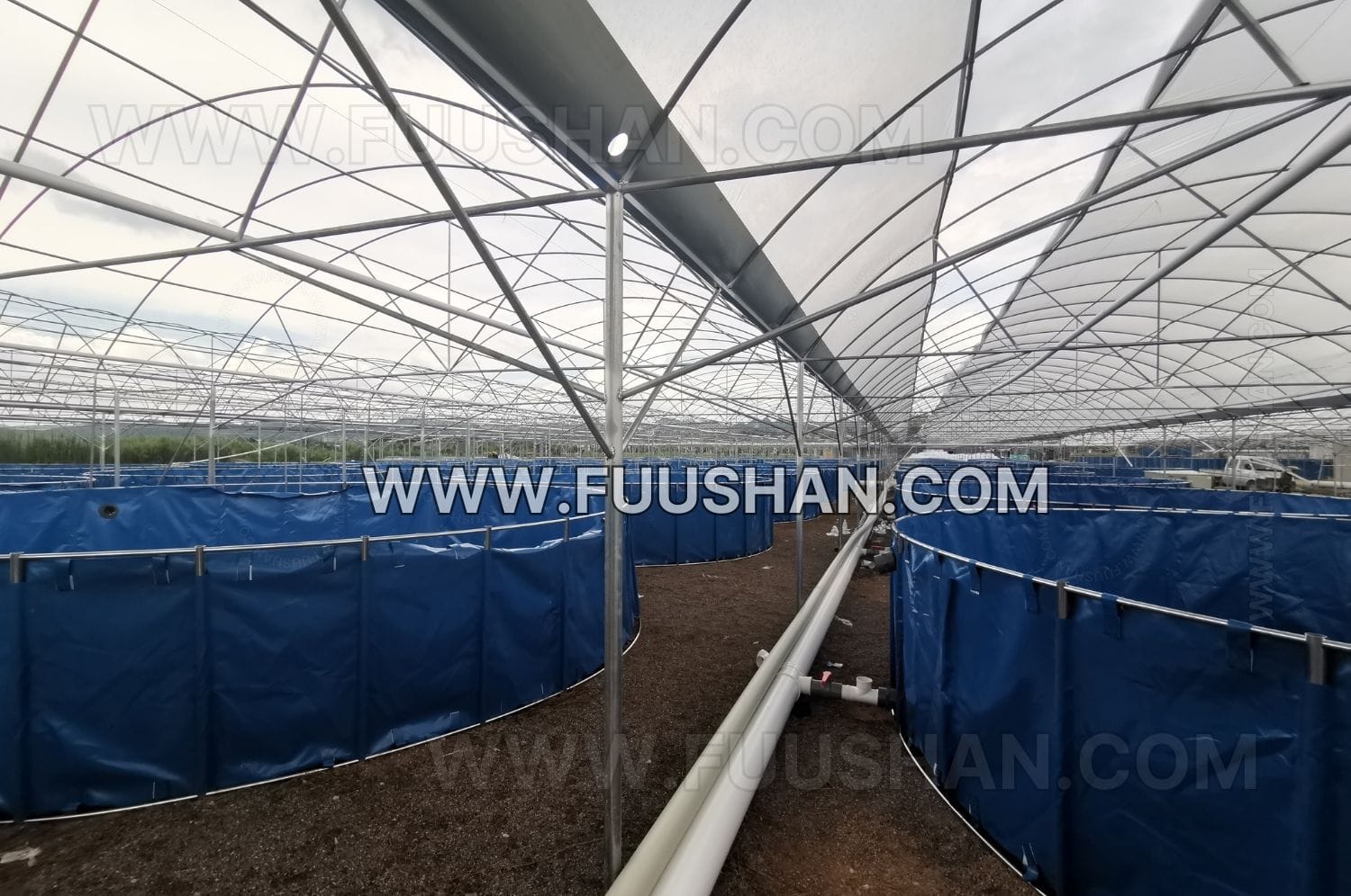 the 4832m2 aquaculture project in china (5)