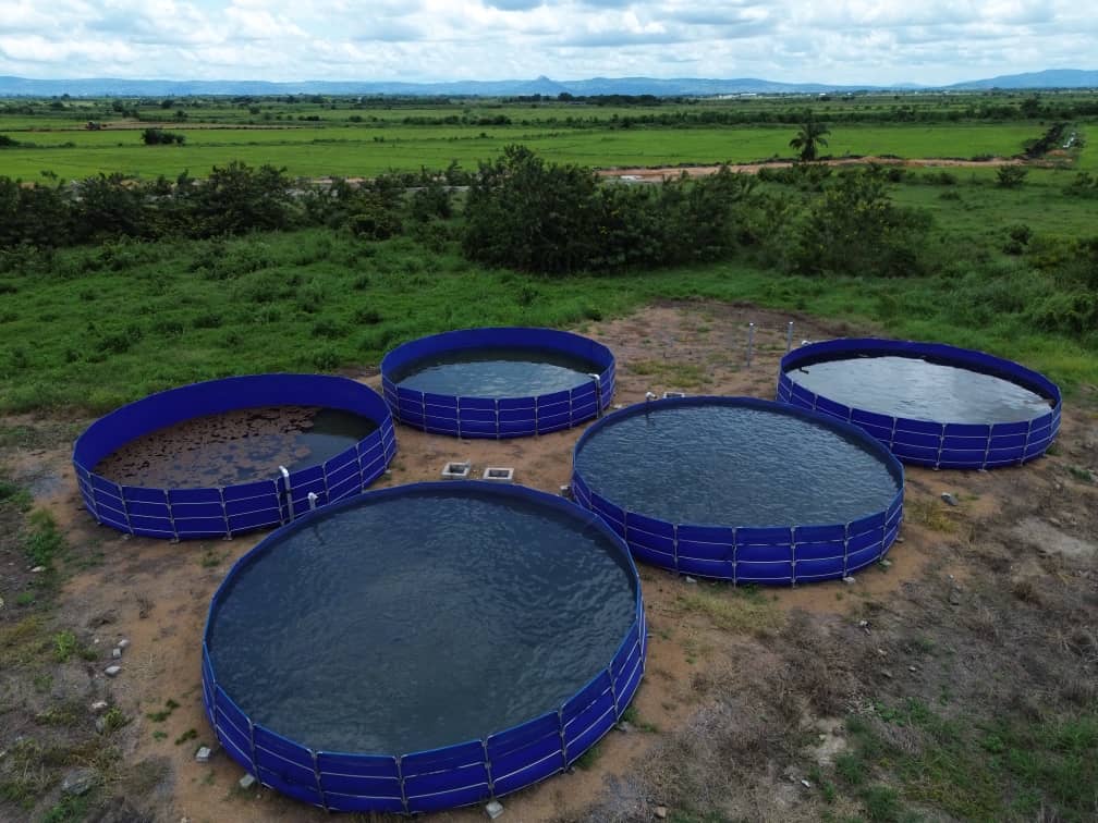 Collapsible PVC fish farming tank for a portable aquaculture setup