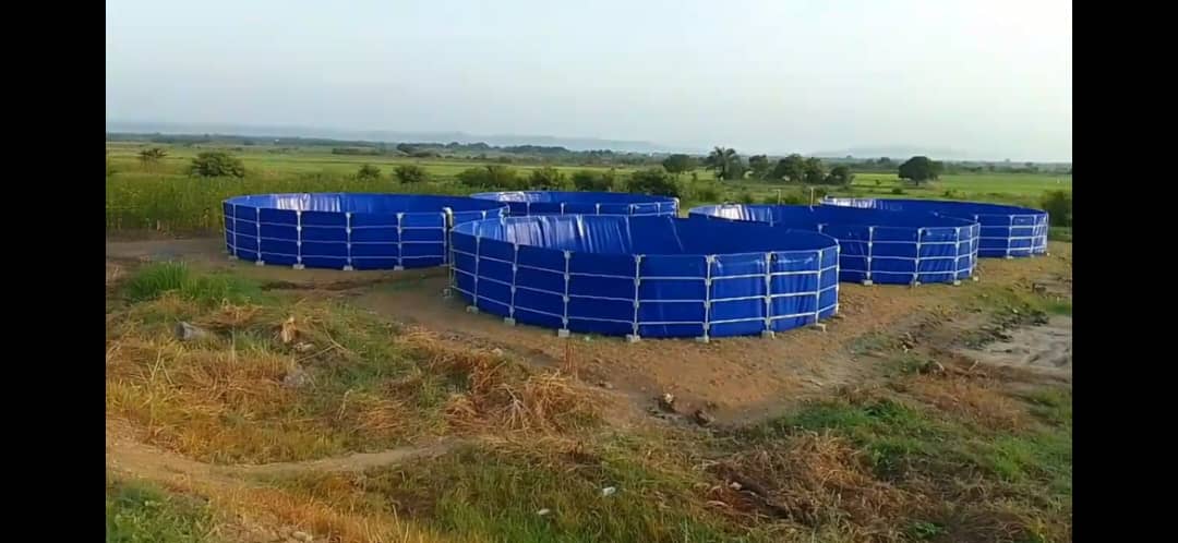 Galvanized steel pipe frame fish farming tank with PVC liner
