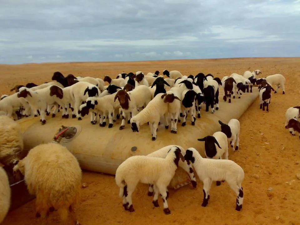 Livestock & Farm Water Storage