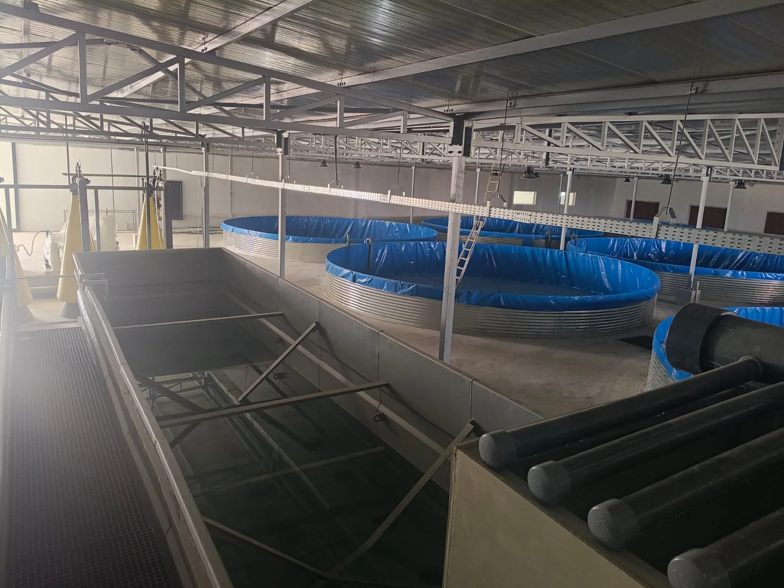 Circular fish farming tanks inside an aquaculture facility